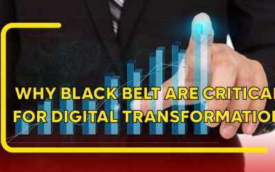 Why Black Belts Are Critical for Digital Transformation: The Missing Link Between Technology and Business Value
