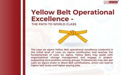 Articles 11 Yellow Belt Operational Excellence – The Path to World-Class