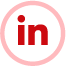 icon in
